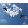 Stealth fighter plane kiteKites