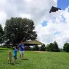 Stealth fighter plane kiteKites