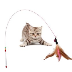 Kätzchen Haustier Teaser Federdraht Spielzeug