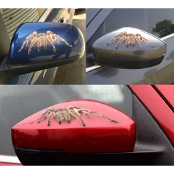 3D Spin - Schorpioen - Hagedis Auto StickerStickers