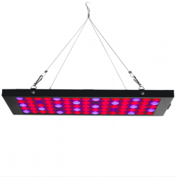 Egrow GL-2 40W LED wachsen Lichtlampe mit rotem blauem UV & IR Spektrum