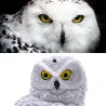 Owl shape - solar powered - outdoor - garden light lampSolar verlichting