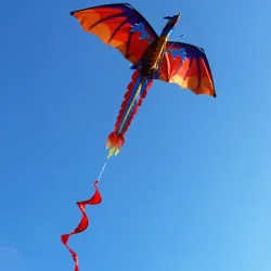3D dragon kite with tail & line 100mKites