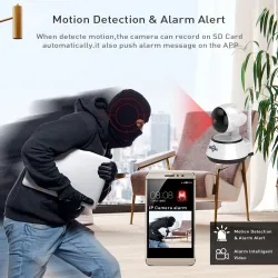 Security IP wireless camera - smart WiFi with 32GB SD cardBeveiligingscamera's