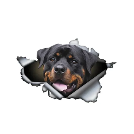 3D Rottweiler - vinyl autosticker - 13 * 8.4cmStickers