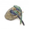Double parrots - elegant broochBroches
