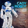 JJRC R2 RC robot Cady - IR gesture control - dancing intelligent RC toyRC Toys